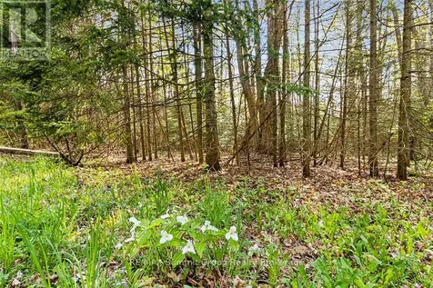 132 South View Lane Grey Highlands ON N0C 1B0