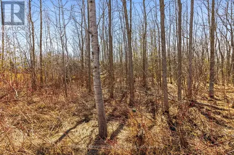 Part 28 Maple Drive Northern Bruce Peninsula ON N0H 1Z0