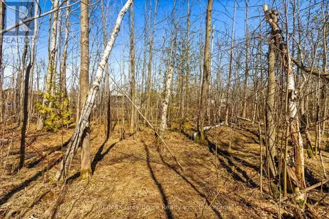 Part 28 Maple Drive Northern Bruce Peninsula ON N0H 1Z0