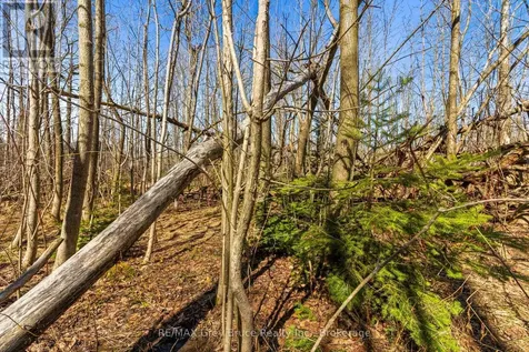 Part 28 Maple Drive Northern Bruce Peninsula ON N0H 1Z0
