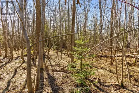 Part 28 Maple Drive Northern Bruce Peninsula ON N0H 1Z0