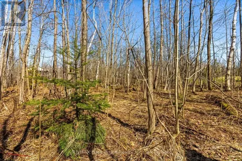 Part 28 Maple Drive Northern Bruce Peninsula ON N0H 1Z0