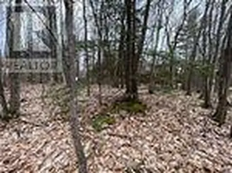 Lot 705 Wolfe Trail Tiny ON L9M 0H7