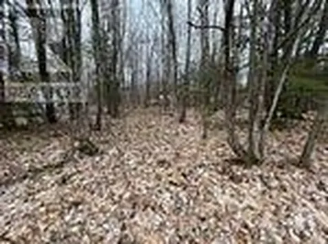 Lot 705 Wolfe Trail Tiny ON L9M 0H7