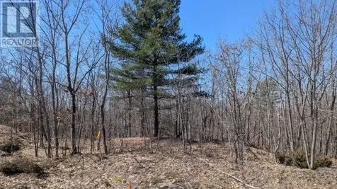 36 County Road Rideau Lakes ON K0G 1X0
