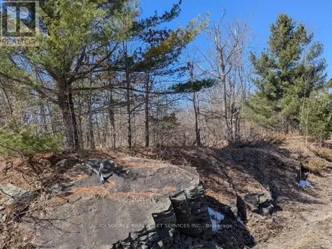 36 County Road Rideau Lakes ON K0G 1X0