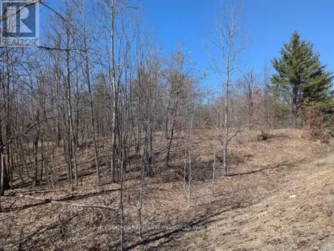 36 County Road Rideau Lakes ON K0G 1X0