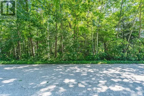 38 Lasalle Trail Tiny ON L9M 0G3