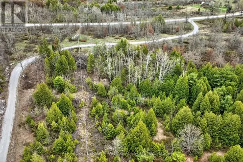 165 County Road 507 Trent Lakes ON K0L 1J0