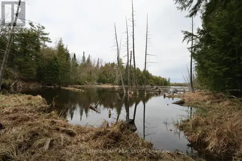 165 County Road 507 Trent Lakes ON K0L 1J0