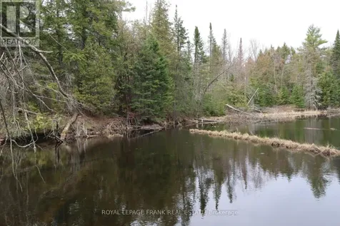 165 County Road 507 Trent Lakes ON K0L 1J0