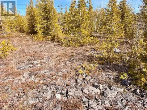 73 Fox Trail Northern Bruce Peninsula ON N0H 1W0