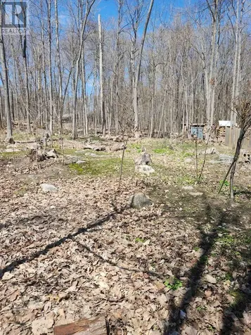 81 Polish Avenue Penetanguishene ON L9M 1W8