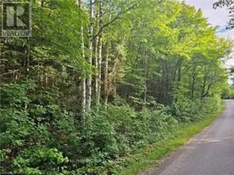 LOT 184 Alsace Road Nipissing ON P0H 1W0