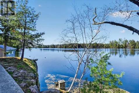1484 Birchview Road Douro-dummer ON K0L 2H0