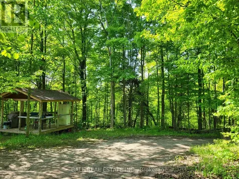 81 Silver Heights Drive Trent Hills ON K0L 1Y0