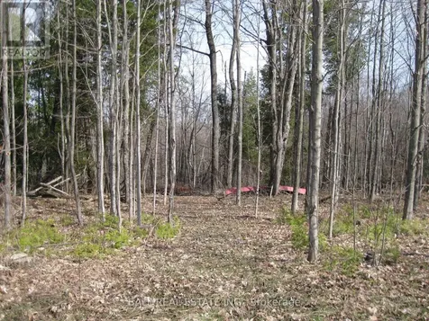 81 Silver Heights Drive Trent Hills ON K0L 1Y0