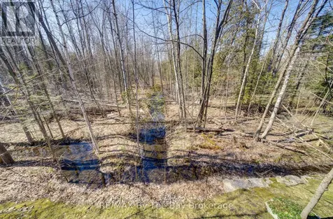 16 Westbury Road Wasaga Beach ON L9Z 0B8
