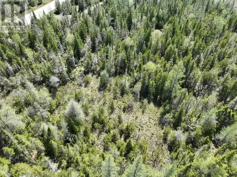 Pt Lt 21 Con 7 Northern Bruce Peninsula ON N0H 1Z0