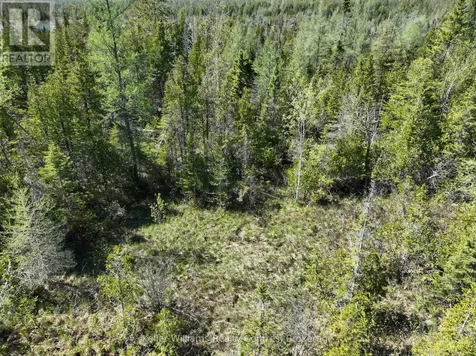 Pt Lt 21 Con 7 Northern Bruce Peninsula ON N0H 1Z0
