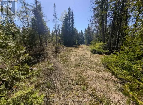 Pt Lt 21 Con 7 Northern Bruce Peninsula ON N0H 1Z0