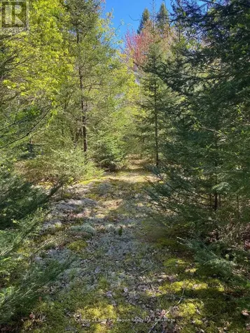 471 Weiler Line Powassan ON P0H 2L0
