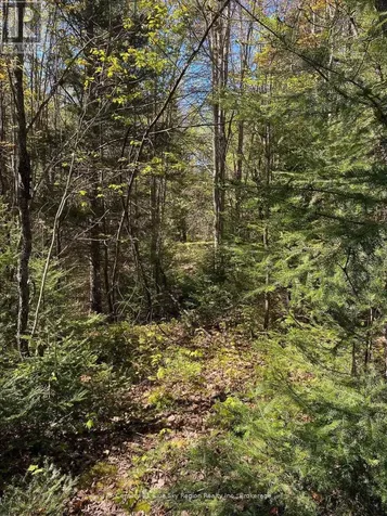 471 Weiler Line Powassan ON P0H 2L0