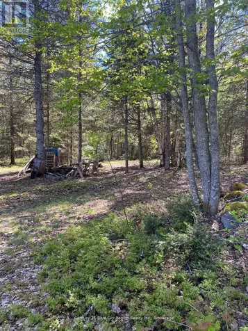 471 Weiler Line Powassan ON P0H 2L0