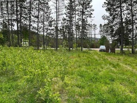 18500 Highway 60 Highway Madawaska Valley ON K0J 1B0