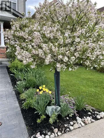 126 Snowdrop Crescent Kitchener ON N2E 4G7
