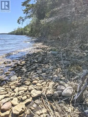 PL9C15 Assiginack South Bay Mouth ON P0P 1Z0