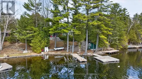 54 Clearview Drive Trent Lakes ON K0M 2A0