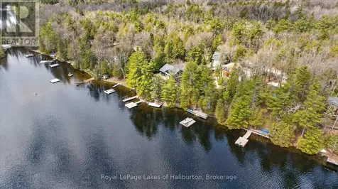 54 Clearview Drive Trent Lakes ON K0M 2A0