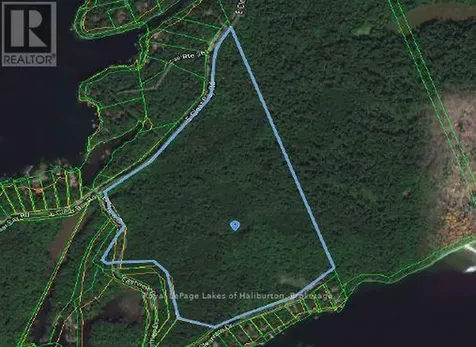 54 Clearview Drive Trent Lakes ON K0M 2A0