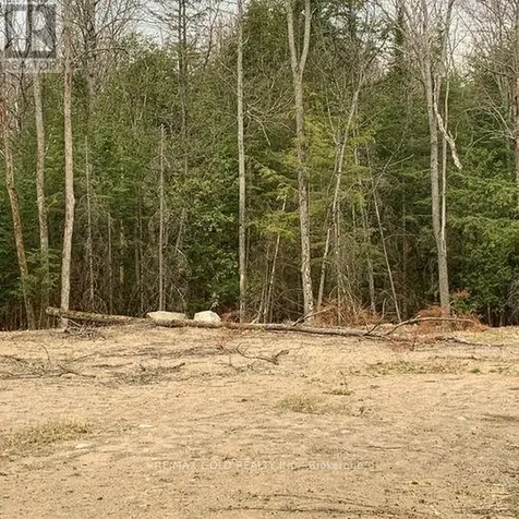 5 Mountain Basin Drive Mcdougall ON P2A 2W9