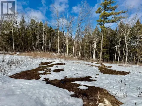221 Fire Route 5 North Kawartha ON K0L 3E0