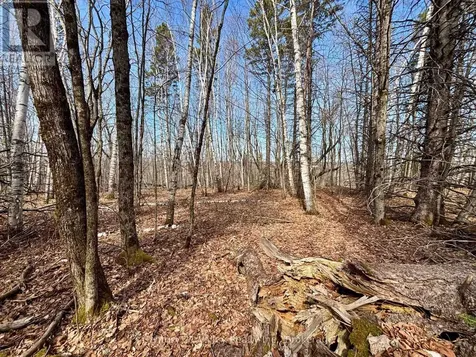 Lot 2 Foymount Road Bonnechere Valley ON K0J 1W0