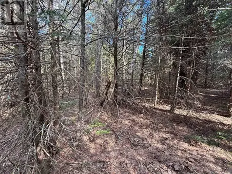 Lot 2 Foymount Road Bonnechere Valley ON K0J 1W0