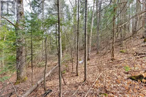 Lot 2 Foymount Road Bonnechere Valley ON K0J 1W0