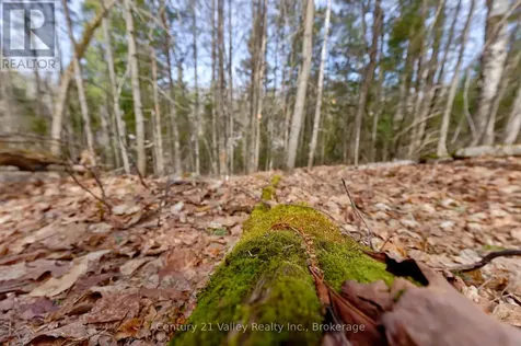 Lot 2 Foymount Road Bonnechere Valley ON K0J 1W0