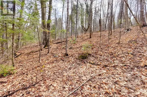 Lot 2 Foymount Road Bonnechere Valley ON K0J 1W0
