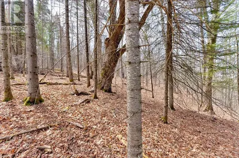 Lot 2 Foymount Road Bonnechere Valley ON K0J 1W0