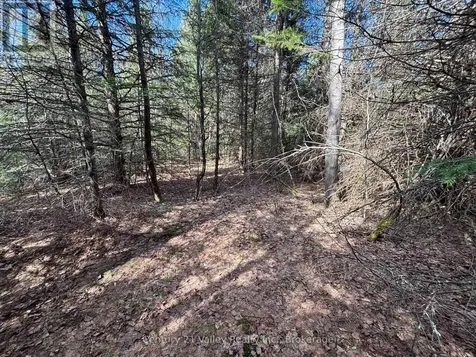 Lot 2 Foymount Road Bonnechere Valley ON K0J 1W0