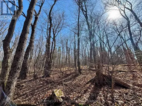 Lot 1 Foymount Road Bonnechere Valley ON K0J 1W0