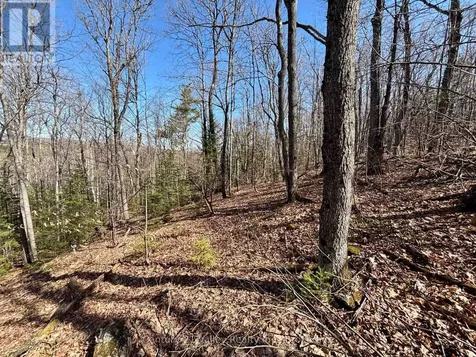 Lot 1 Foymount Road Bonnechere Valley ON K0J 1W0