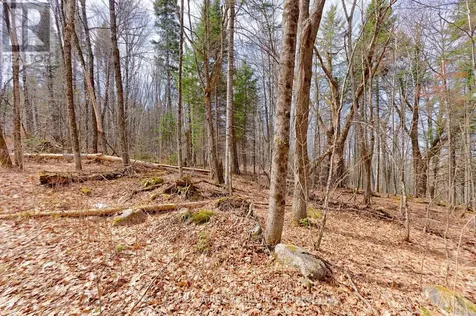 Lot 1 Foymount Road Bonnechere Valley ON K0J 1W0