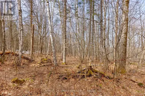 Lot 1 Foymount Road Bonnechere Valley ON K0J 1W0