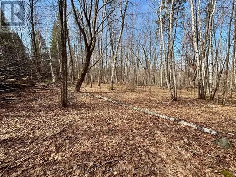 Lot 1 Foymount Road Bonnechere Valley ON K0J 1W0