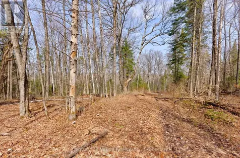 Lot 3 Foymount Road Bonnechere Valley ON K0J 1W0