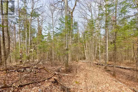 Lot 3 Foymount Road Bonnechere Valley ON K0J 1W0